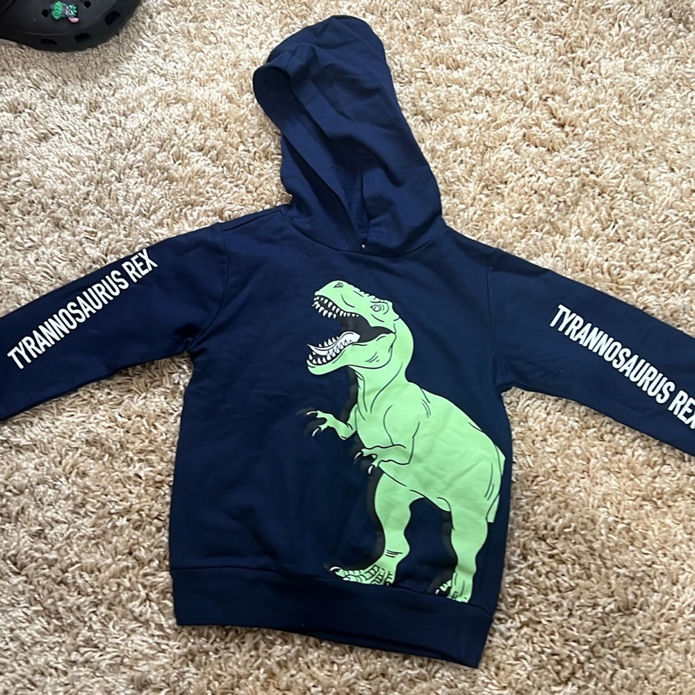 Hoodie dinosaur toddler